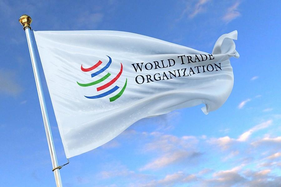 Некоторые члены ВТО выступают против вредной «зеленой» политики крупных экономик