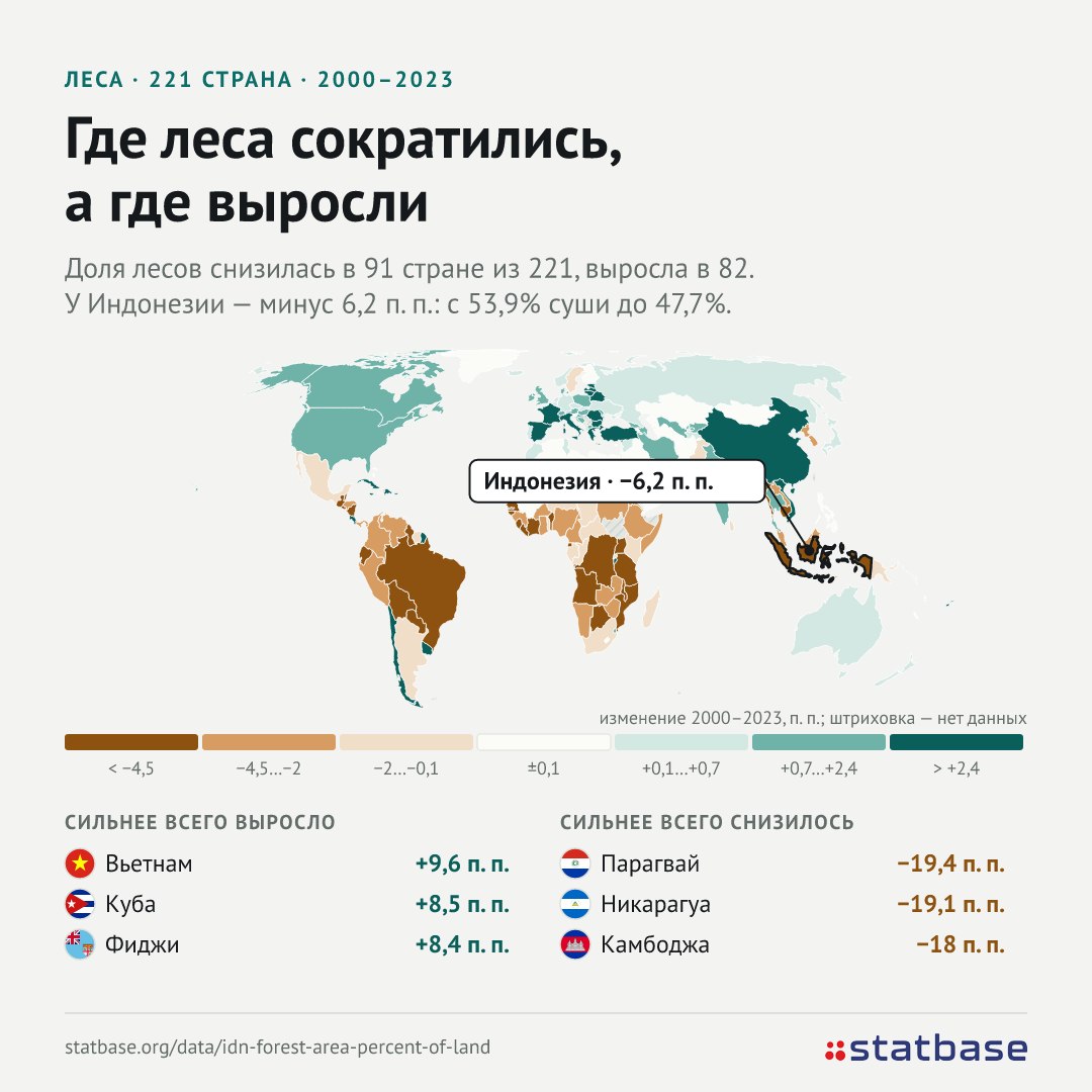 Индонезия за 23 года потеряла 6,2 п. п. лесов