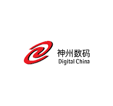 Digital China Group