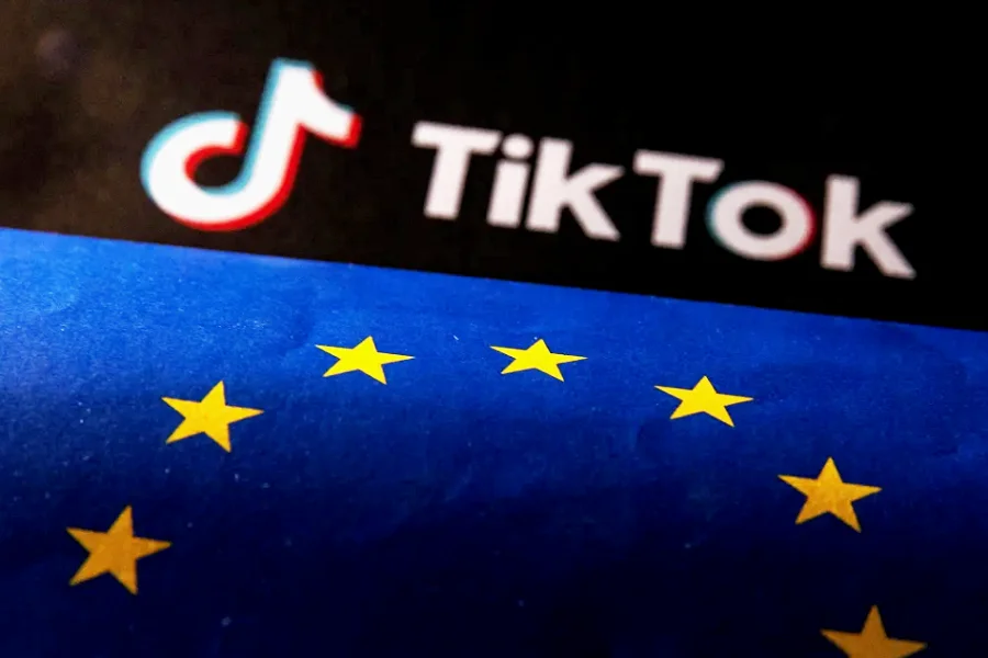 TikTok и Meta* ставят под сомнение законы ЕС о модерации контента